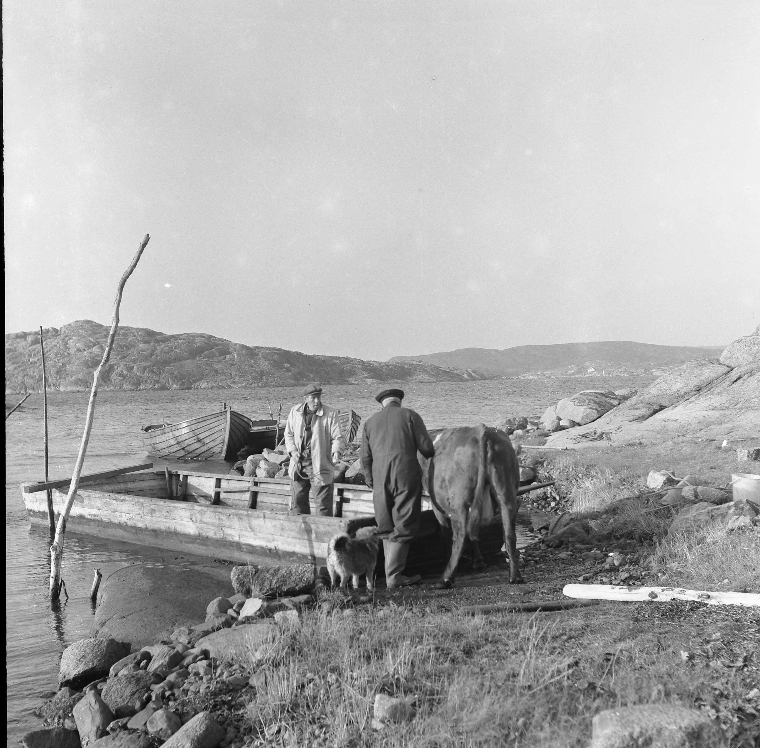 Bild A328 Kälkerön Viktor